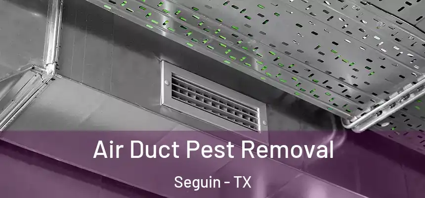 Air Duct Pest Removal Seguin - TX