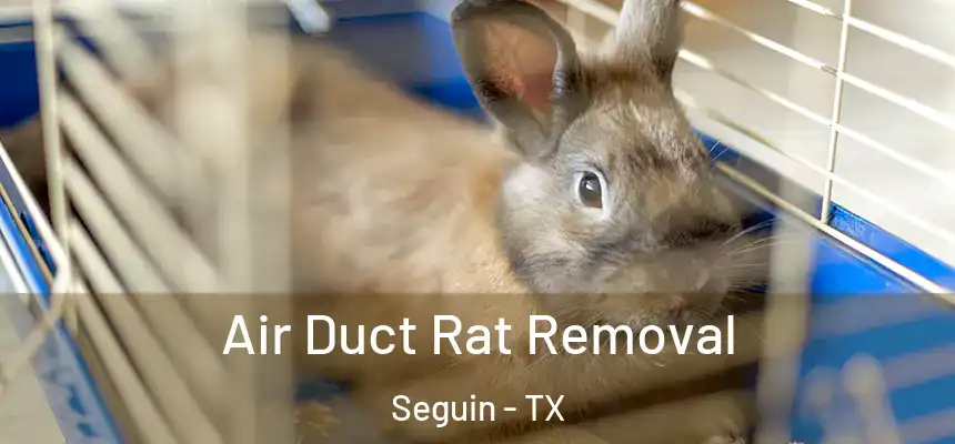 Air Duct Rat Removal Seguin - TX