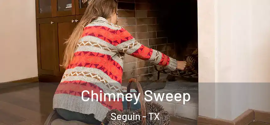 Chimney Sweep Seguin - TX