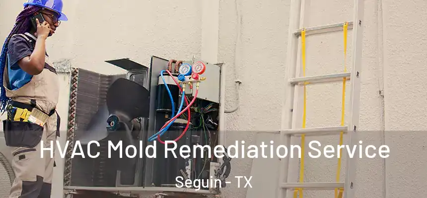  HVAC Mold Remediation Service Seguin - TX