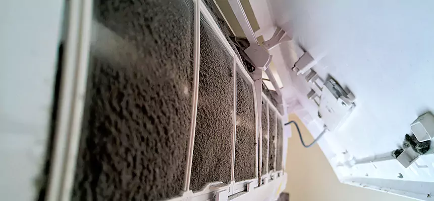 Preventive Air Duct Bacteria Removal in Seguin