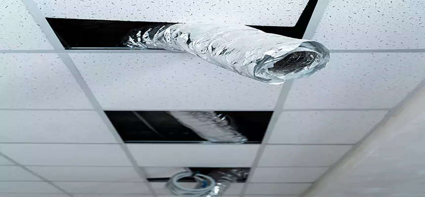 Affordable HVAC Sanitizing After Pest Removal in Seguin