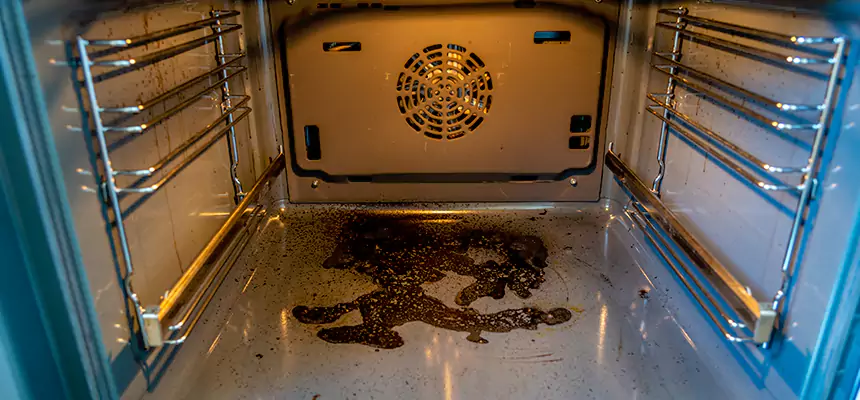 Our Dryer Vent Mold Cleaning Services in Seguin, TX