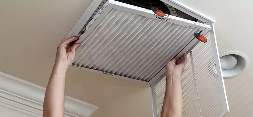 Our Insect Removal from Air Ducts Services in Seguin, TX