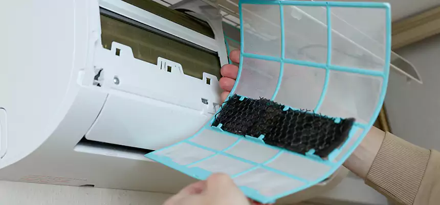 Gentle Ductwork Odor-Control Pet Dander Duct Cleaning in Seguin, TX