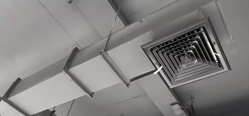 Our Rodent Droppings In Vents Services in Seguin, TX