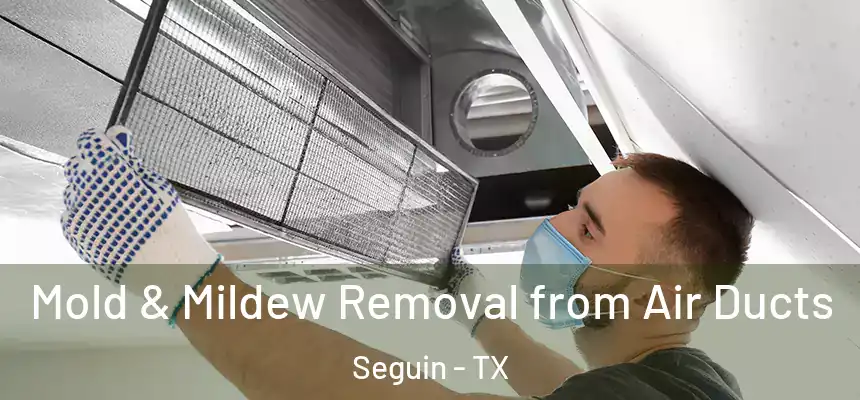 Mold & Mildew Removal from Air Ducts Seguin - TX