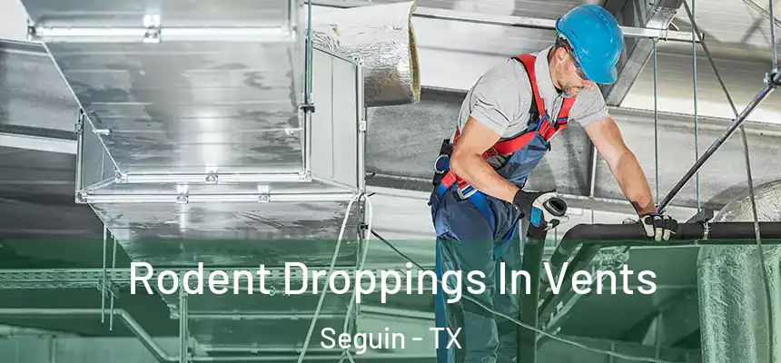 Rodent Droppings In Vents Seguin - TX
