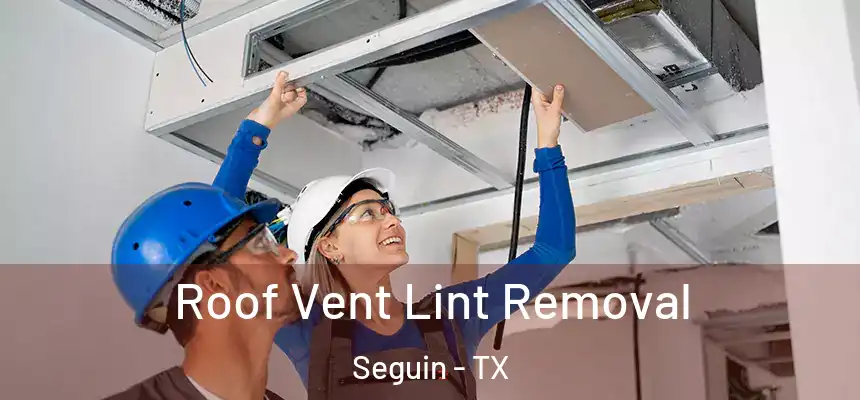 Roof Vent Lint Removal Seguin - TX