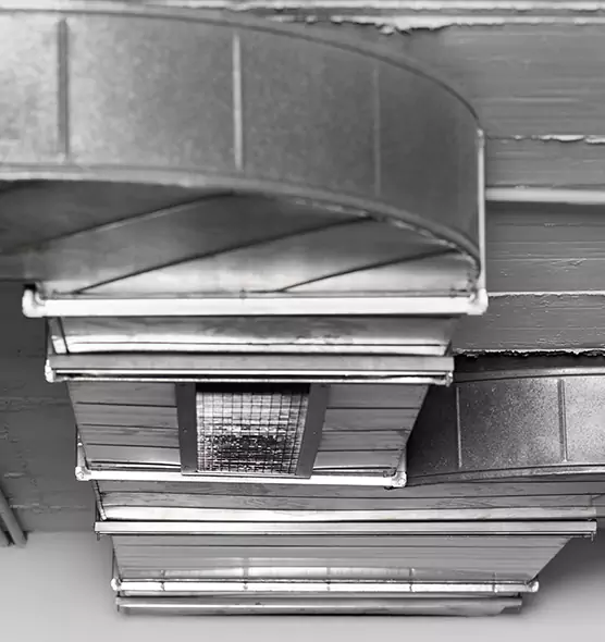 Professional Air Duct Pest Removal in Seguin, TX