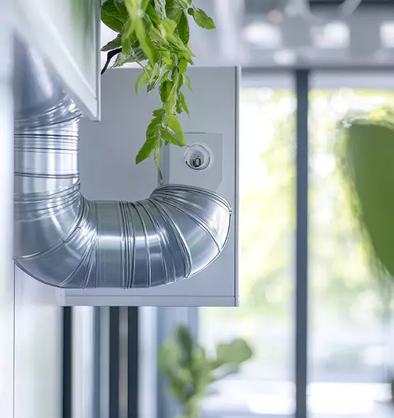 Professional Eco-Friendly Duct Cleaning Services in Seguin, TX