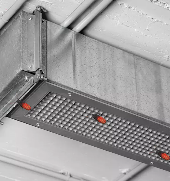 Affordable Insect Removal from Air Ducts in Seguin, TX