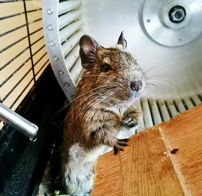 Why Homeowners & Businesses Trust Us Seguin, TX