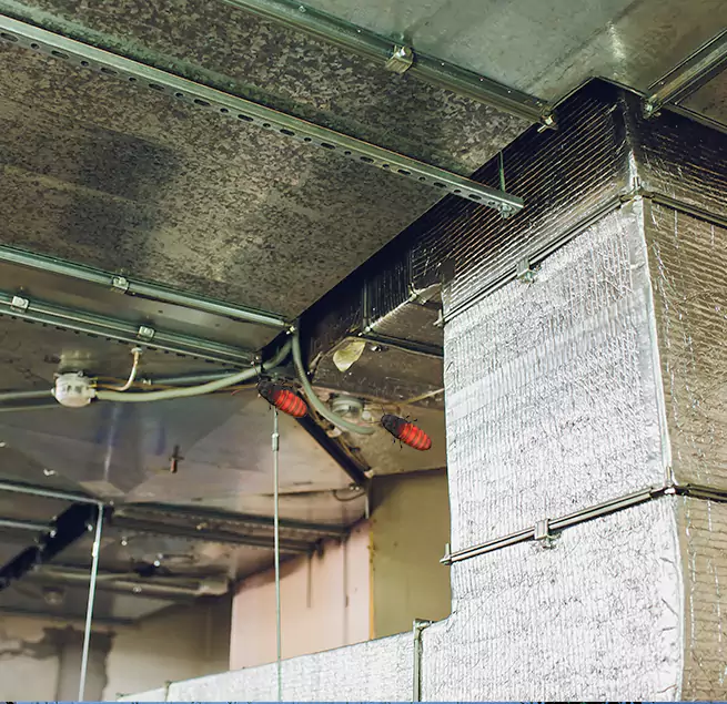 Why Homeowners & Businesses Trust Us Seguin, TX?