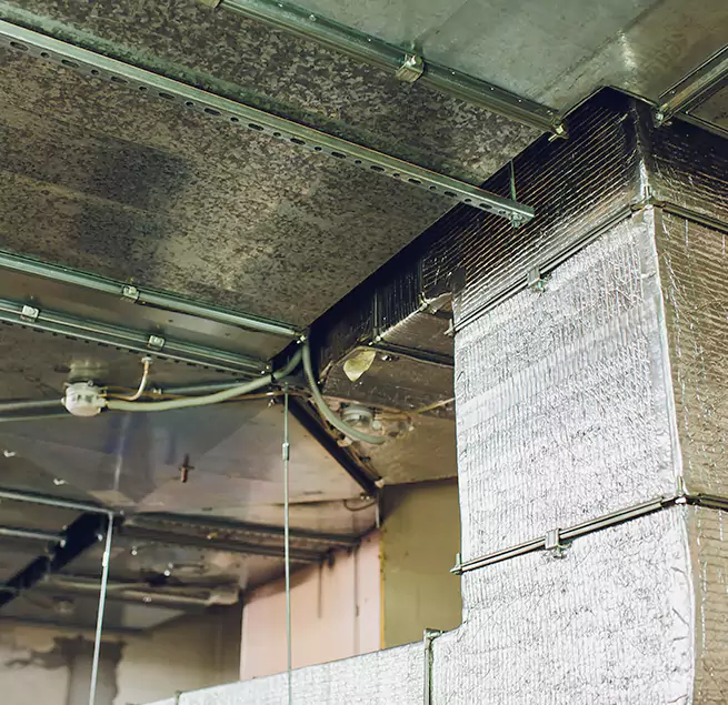 Why Homeowners & Businesses Trust Us in Seguin, TX?